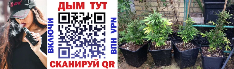 Где продают наркотики Усолье-Сибирское мега рабочий сайт  Alpha PVP  ГАШ  Каннабис 