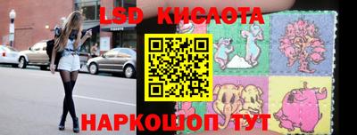 стаф Кингисепп