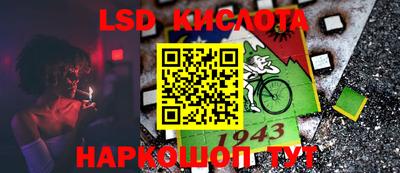 шишки Кинель