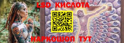 стаф Кингисепп