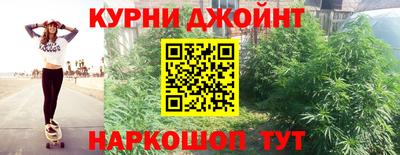 сатива Кимры