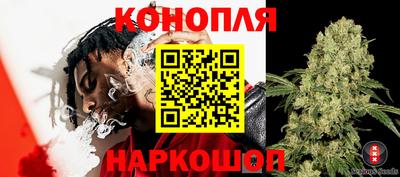 сатива Кимры