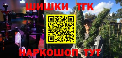 стаф Кингисепп