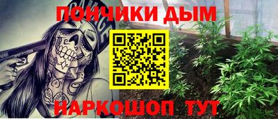 стаф Кингисепп