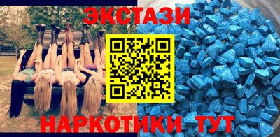 стаф Кингисепп