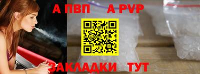 стаф Кингисепп