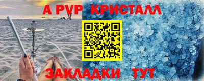 стаф Кингисепп