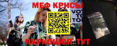 стаф Кингисепп
