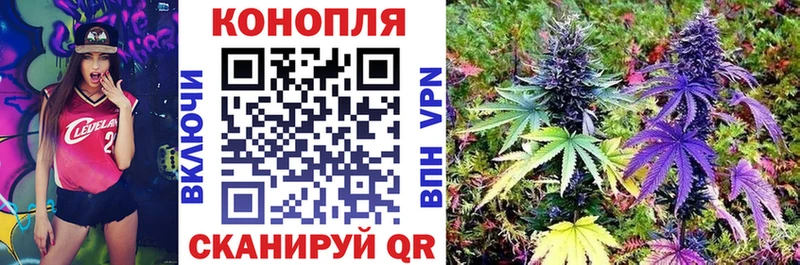 Бошки марихуана сатива  Усолье-Сибирское 